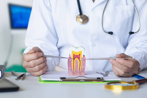 Best After-Hours Dental Trauma Care in Douglas, GA